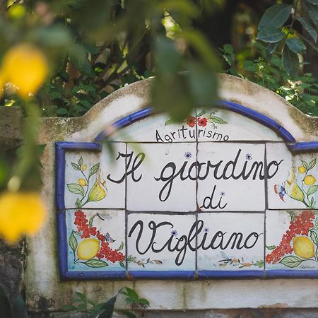 Agriturismo Il Giardino Di Vigliano Massa Lubrense Exterior foto