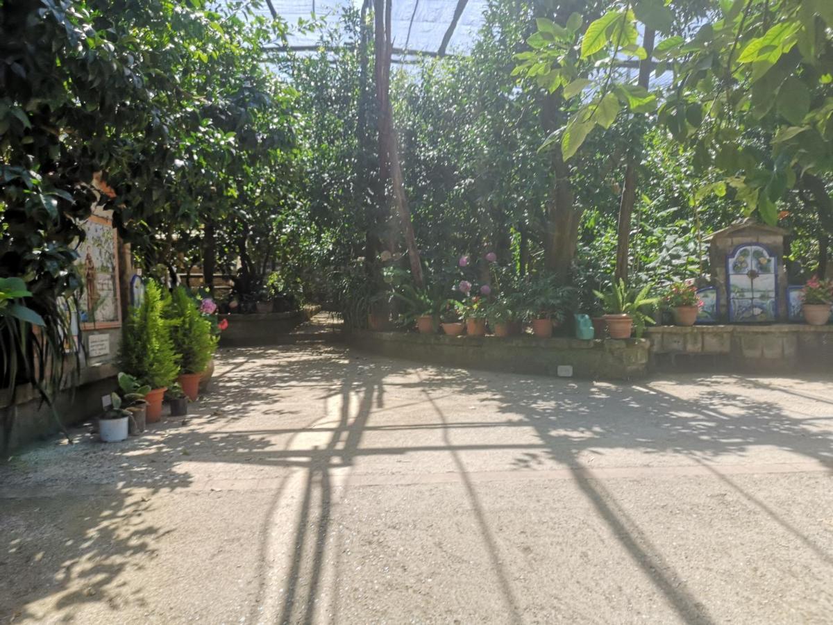 Agriturismo Il Giardino Di Vigliano Massa Lubrense Exterior foto