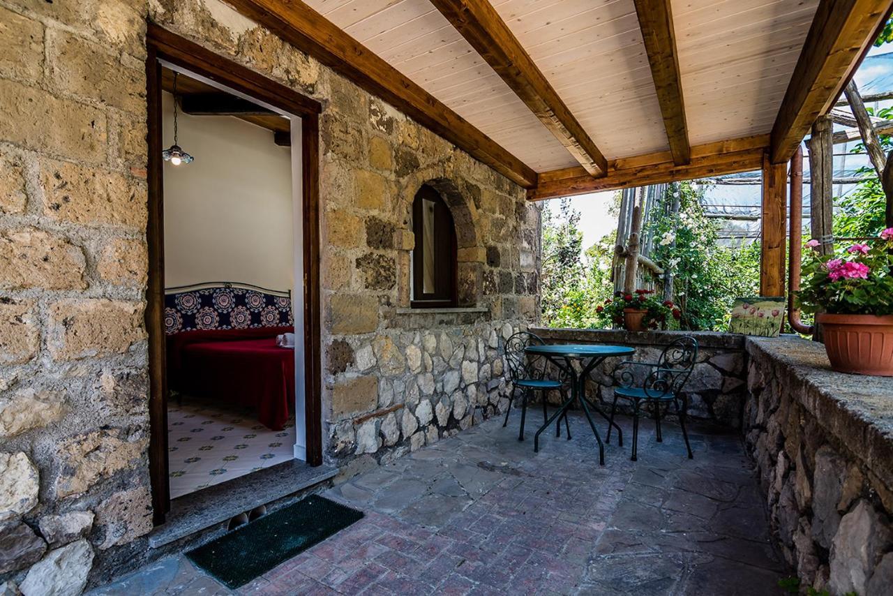 Agriturismo Il Giardino Di Vigliano Massa Lubrense Exterior foto