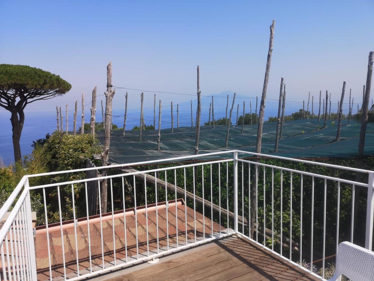 Agriturismo Il Giardino Di Vigliano Massa Lubrense Exterior foto