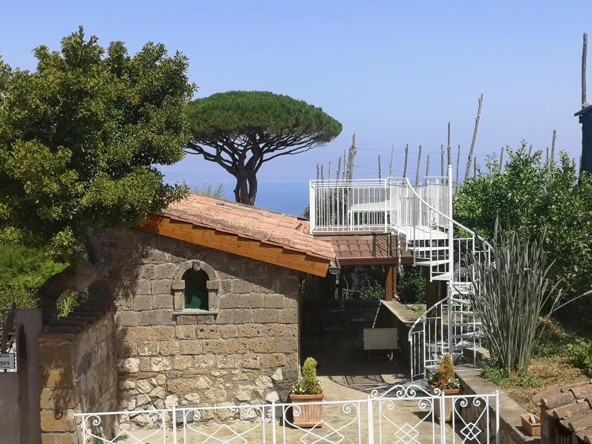 Agriturismo Il Giardino Di Vigliano Massa Lubrense Exterior foto
