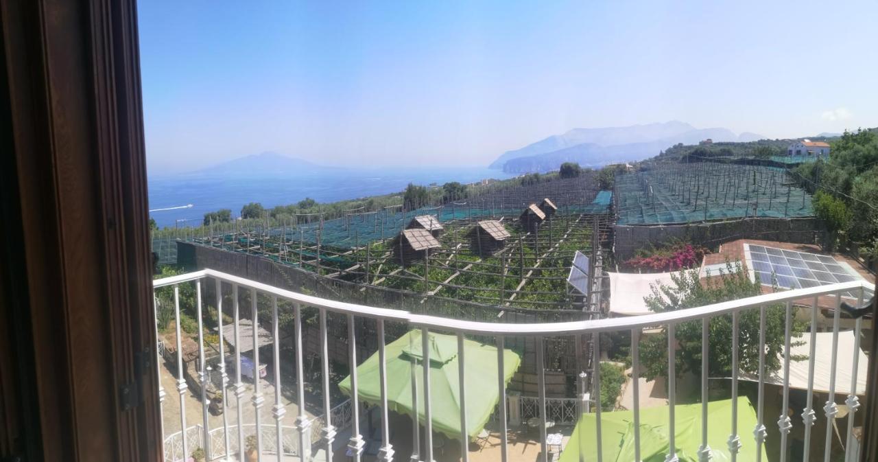 Agriturismo Il Giardino Di Vigliano Massa Lubrense Exterior foto