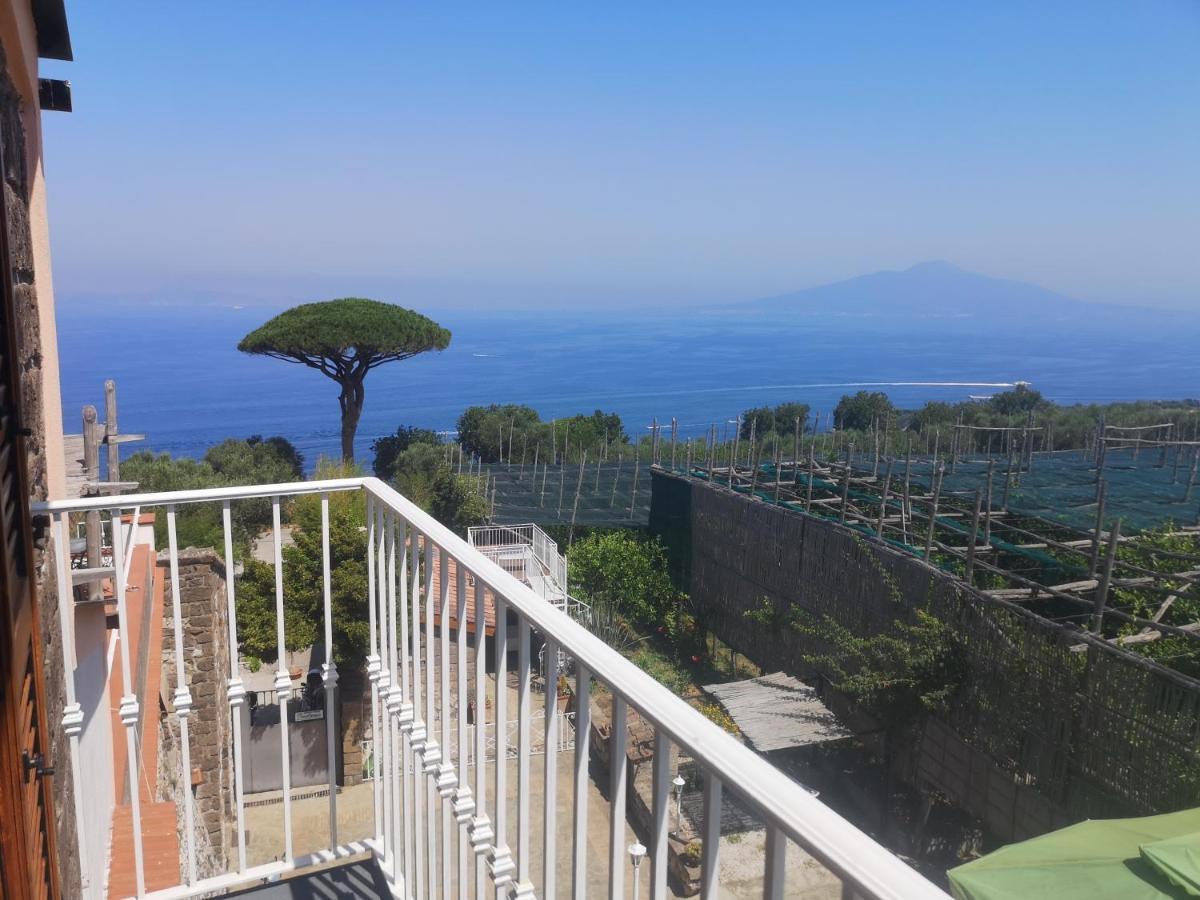 Agriturismo Il Giardino Di Vigliano Massa Lubrense Exterior foto